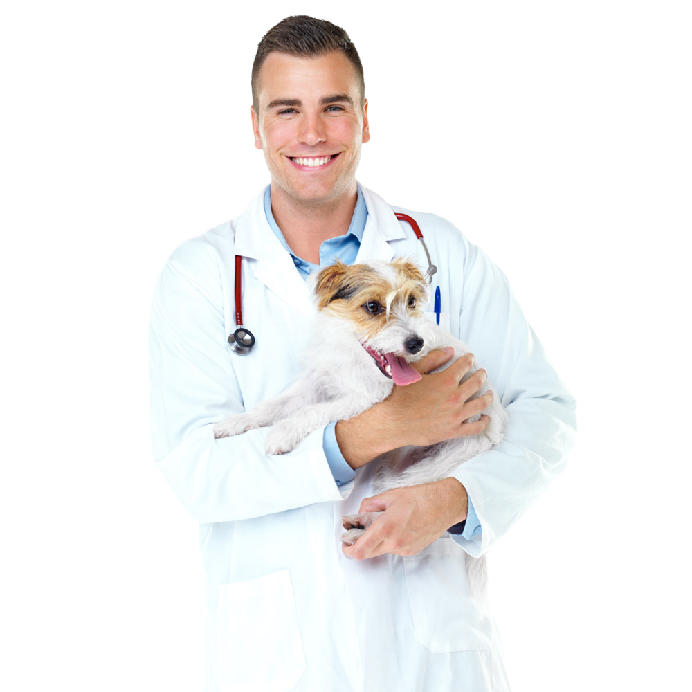 kisspngdogveterinariansurgeryphysicianpetthepetdoctorholdsthe