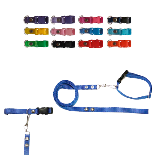 Correa con collar económica