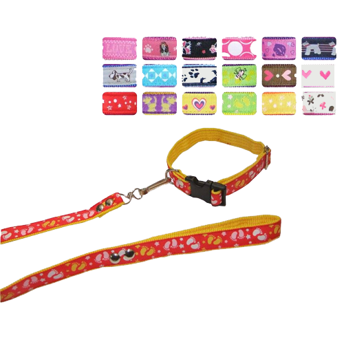 Correa con collar listón mediano